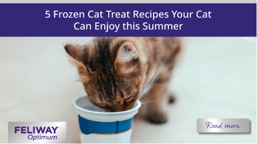 A cat enjoying a cold drink outside.