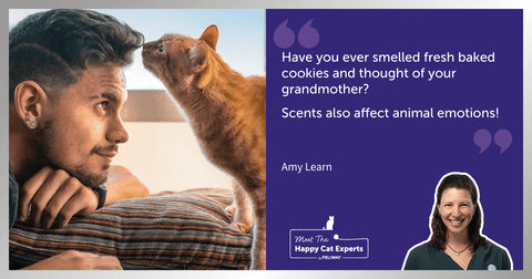 Senses of our Cats: Part 2 – Olfaction (sense of smell)