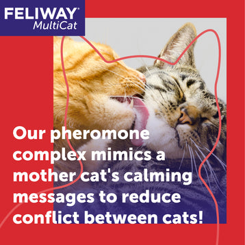 FELIWAY® Multicat Refill