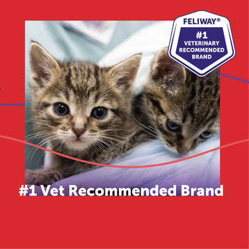 FELIWAY® Multicat Refill