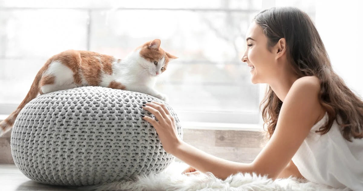 9 Signs Your Cat Likes You - Plus How to Build Your Bond!
