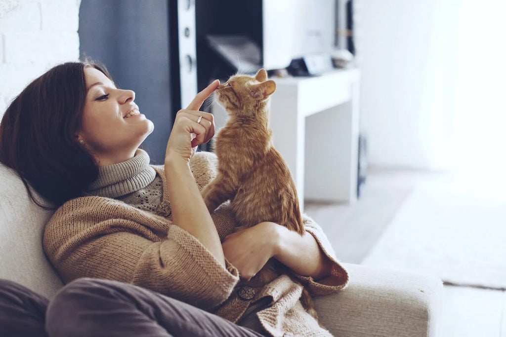 Calm Your Cat Down 7 Kitty Calming Tips for your Anxious Cat