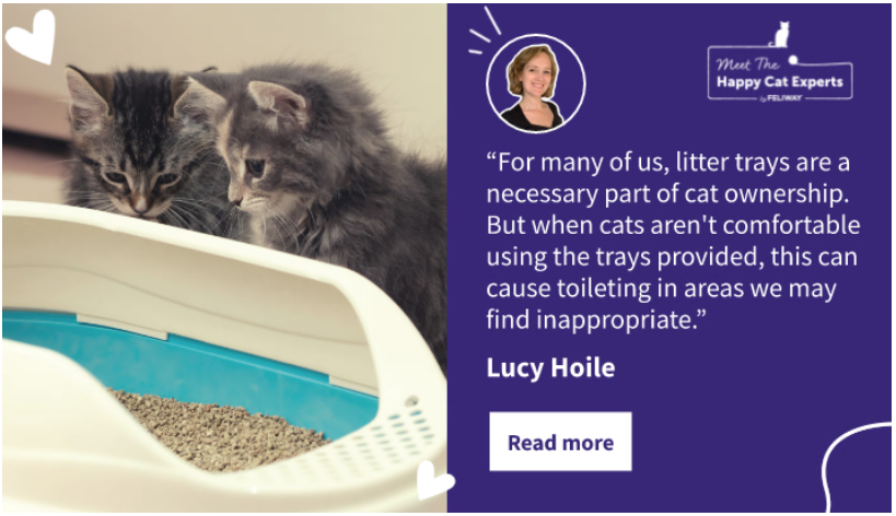 C:\Users\u435613\Downloads\Happy Cat Expert 8 Cat Litter Tray Tips.