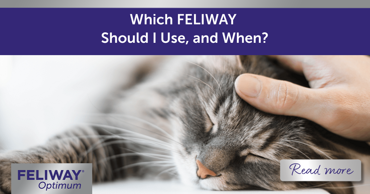 Which FELIWAY Should I Use, and When?