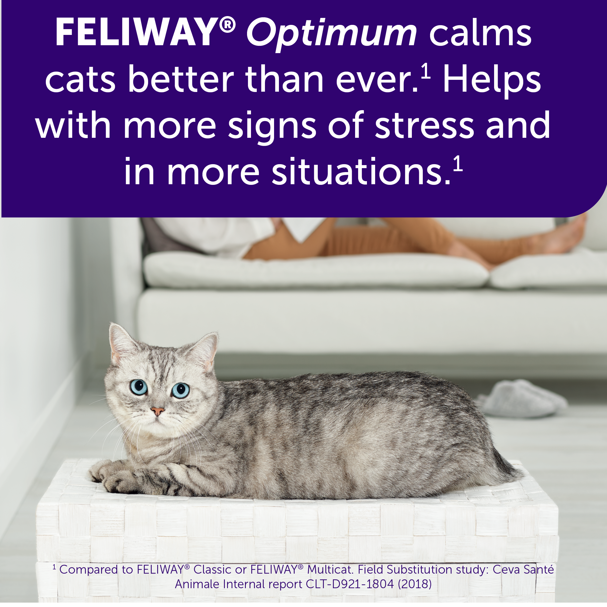 Feliway Optimum Chewy Feliway MultiCat Calming Pheromone Diffuser