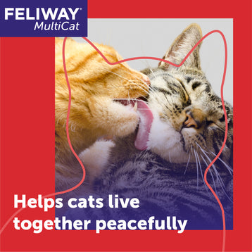 FELIWAY® Multicat Refill