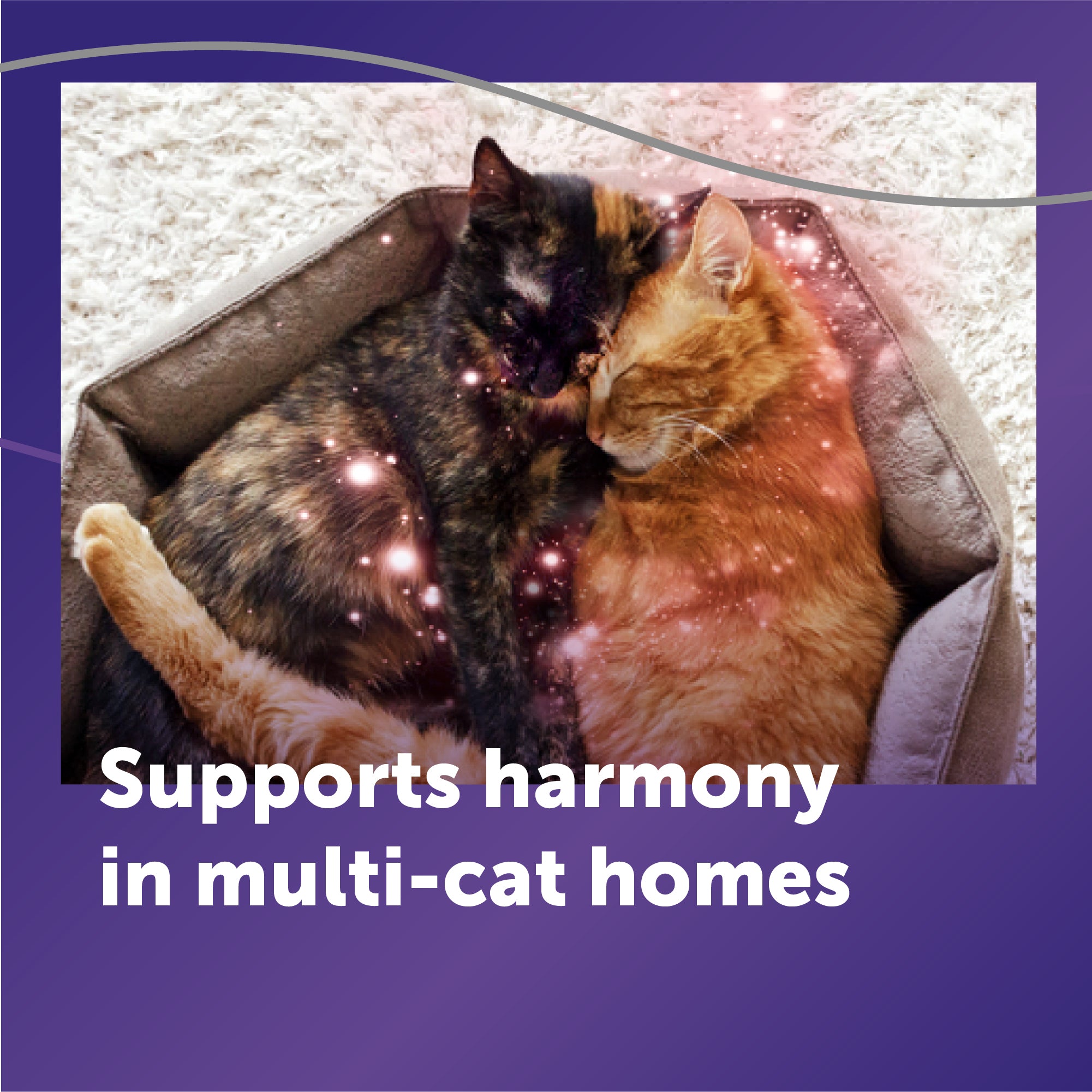 FELIWAY® Optimum Refill | Calming Cat Pheromone Diffuser