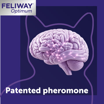 FELIWAY® Optimum Refill