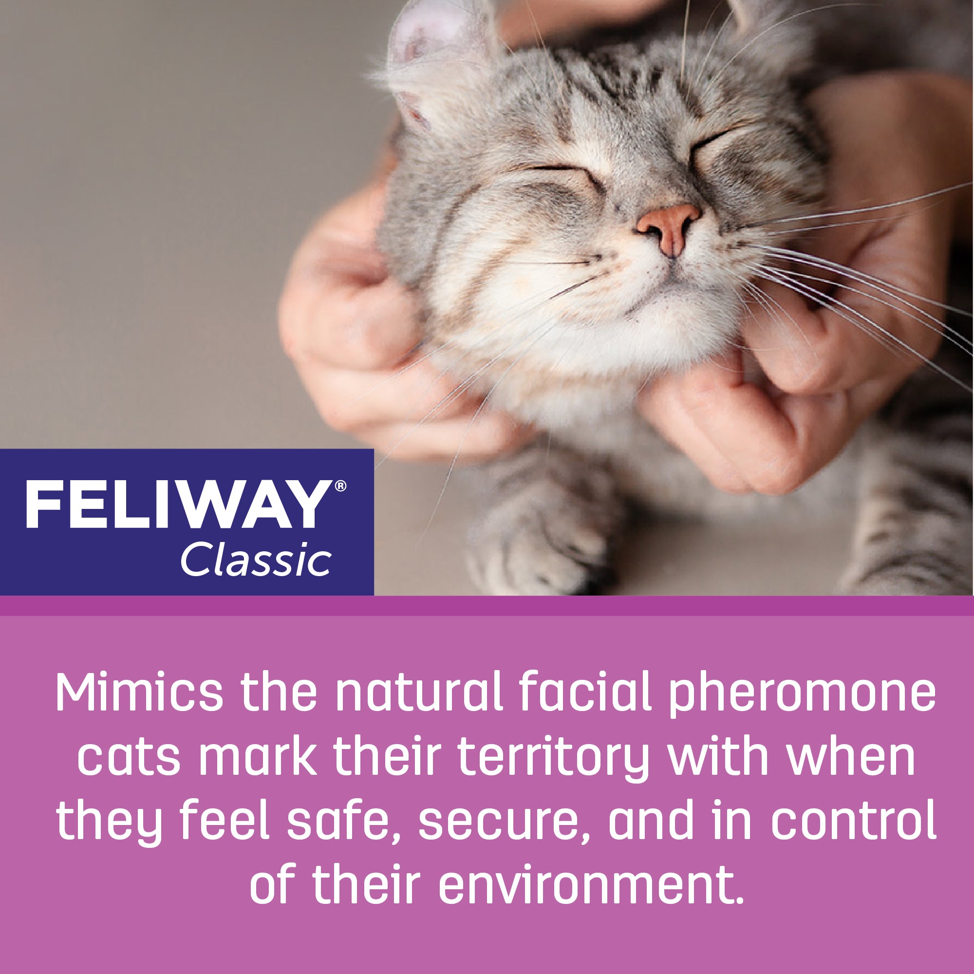 Feliway Multicat Happy Cats Calming Diffuser Refill