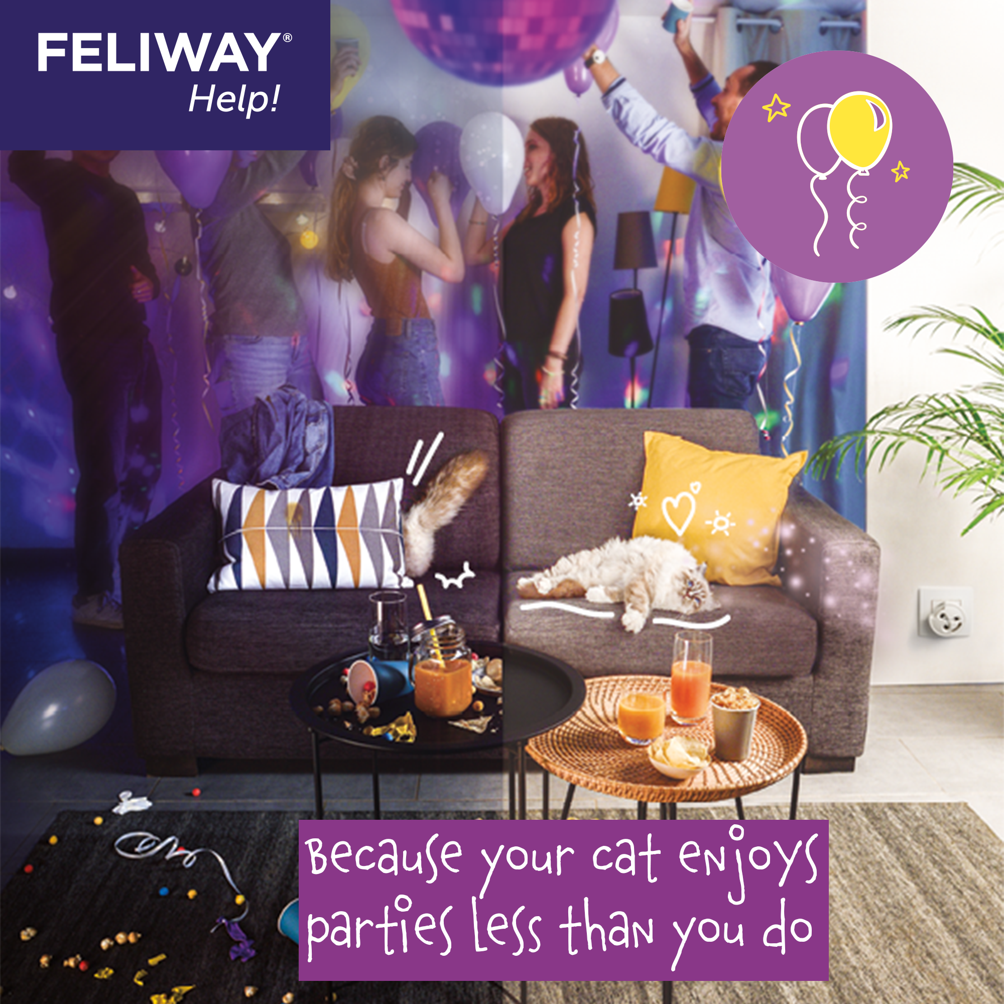 Feliway Friends Refill - Wangford Vet Clinic Shop