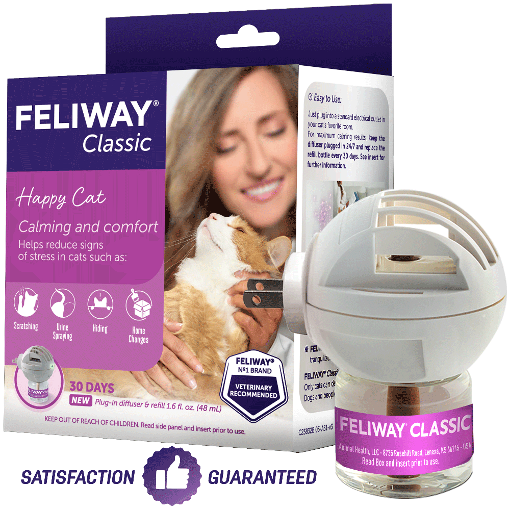  FELIWAY Optimum Cat - Difusor de feromonas calmante mejorado,  kit de inicio de 30 días (1.6 fl oz), translúcido : Productos para Animales