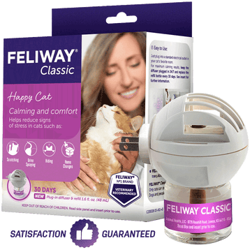 Is feliway online