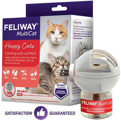 Feline pheromone diffuser reviews online