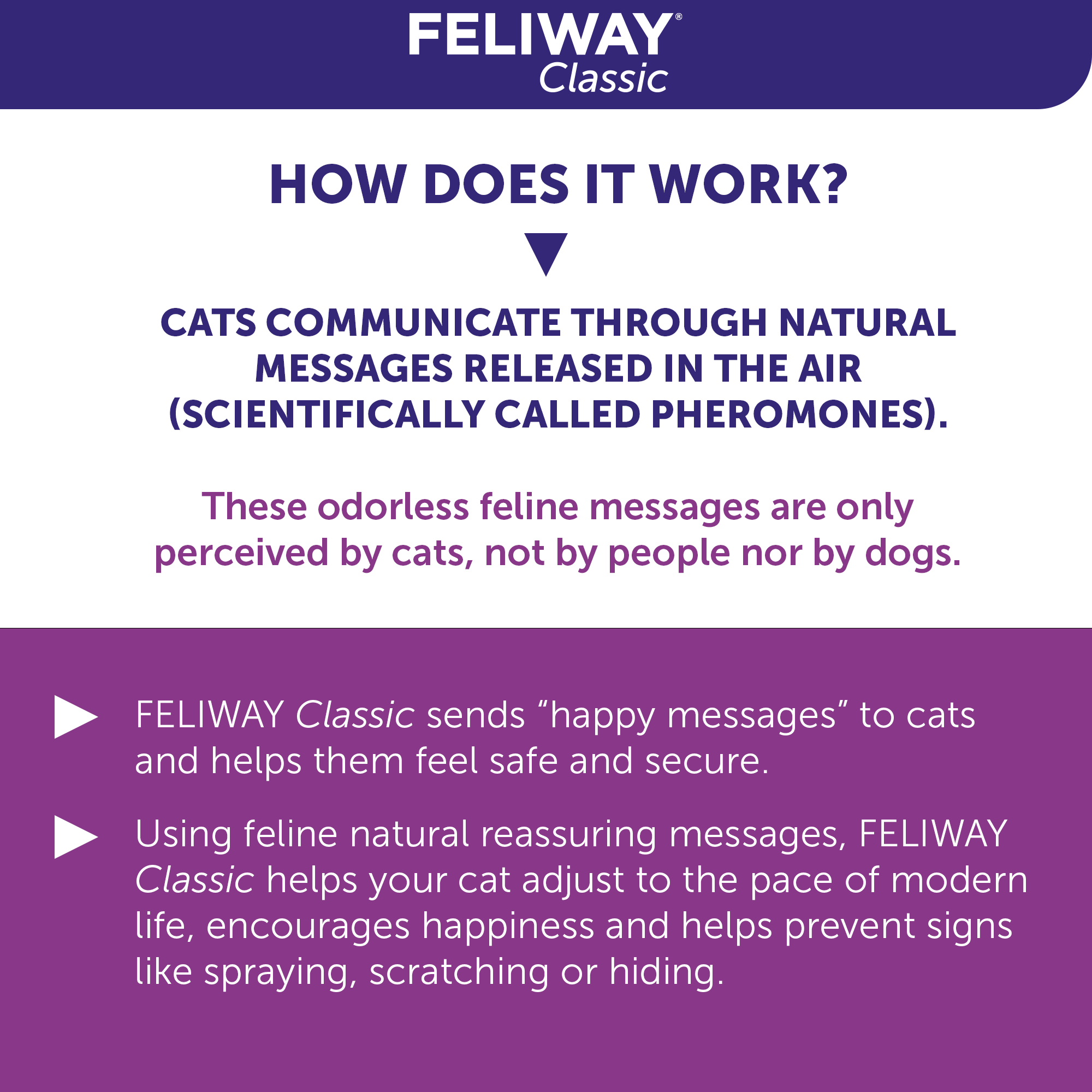 Feliway Anti-Stress Spray Cat - Agent anti-stress - 2 x 20 ml